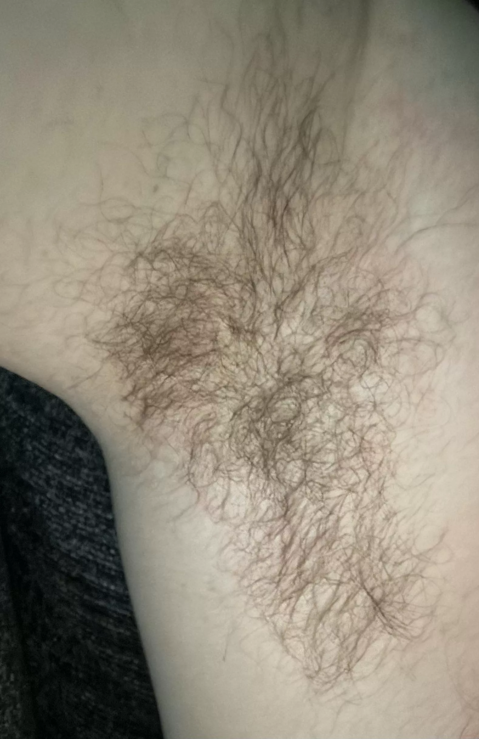 38 tx rancher pit posted by Jalvtx