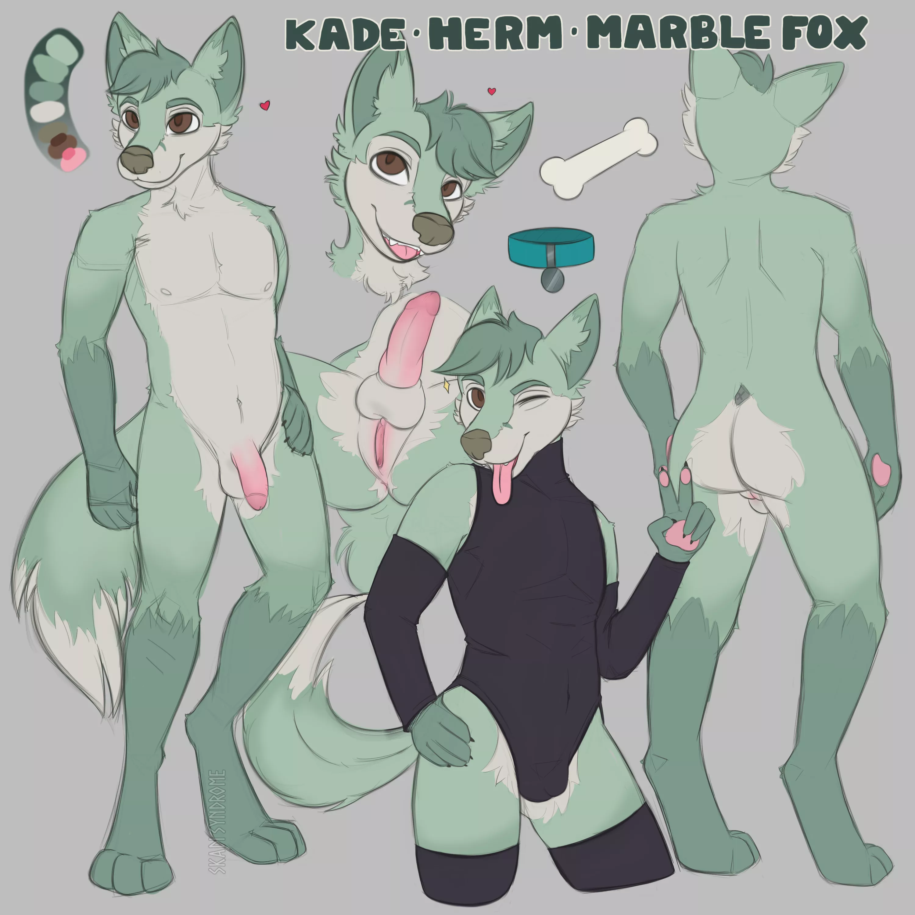 Custom Reference Sheet (SkadiSyndrome) posted by SkadiSyndrome