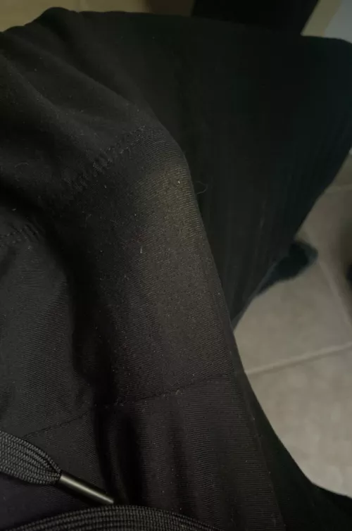 Desk pet needed by witty-duck-12