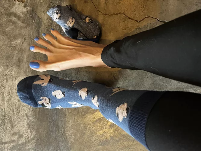 Do you prefer me with or without stockings? by diosadovinho