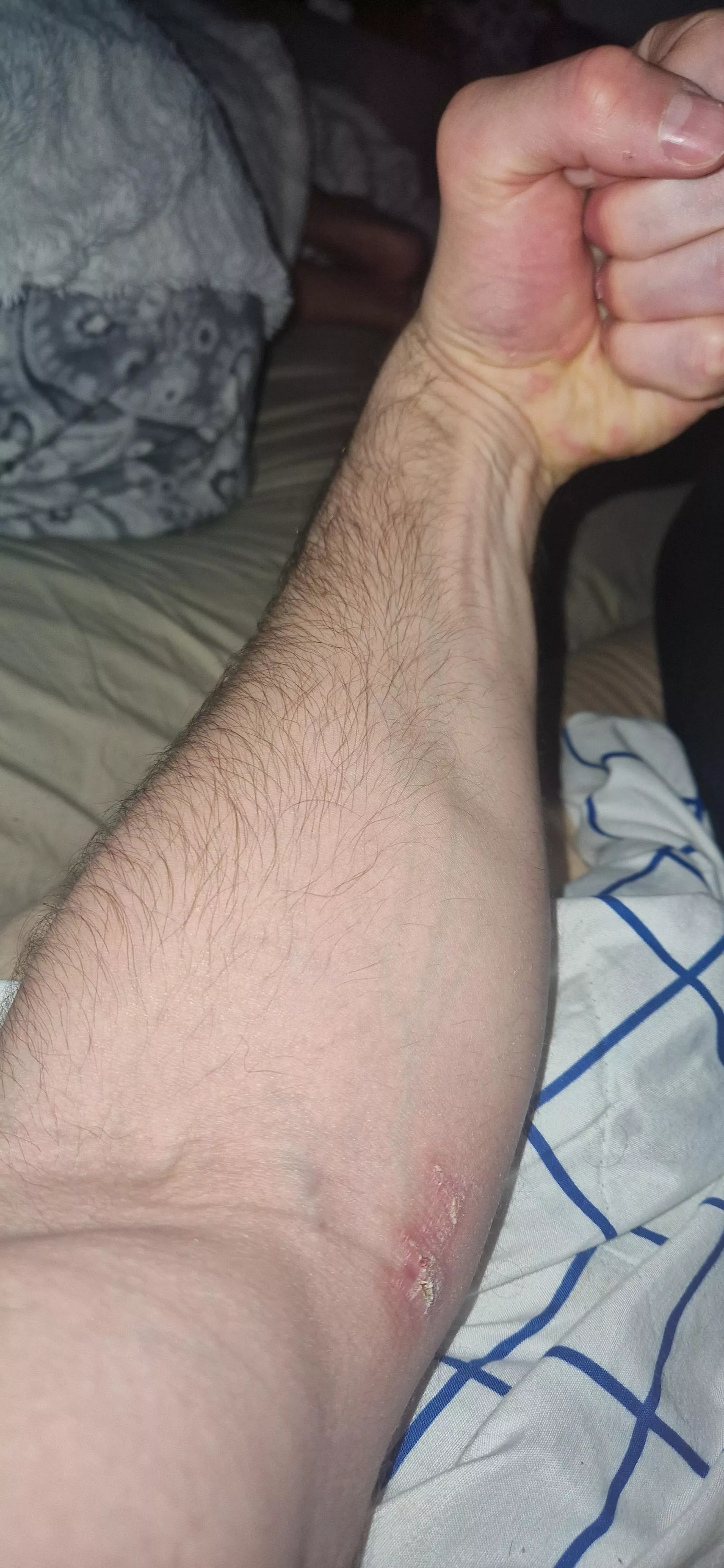 Good or nah posted by Busy-Investment8158