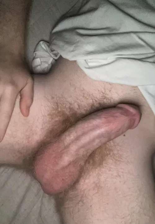 hairy and horny, hmu by mattreddit1221