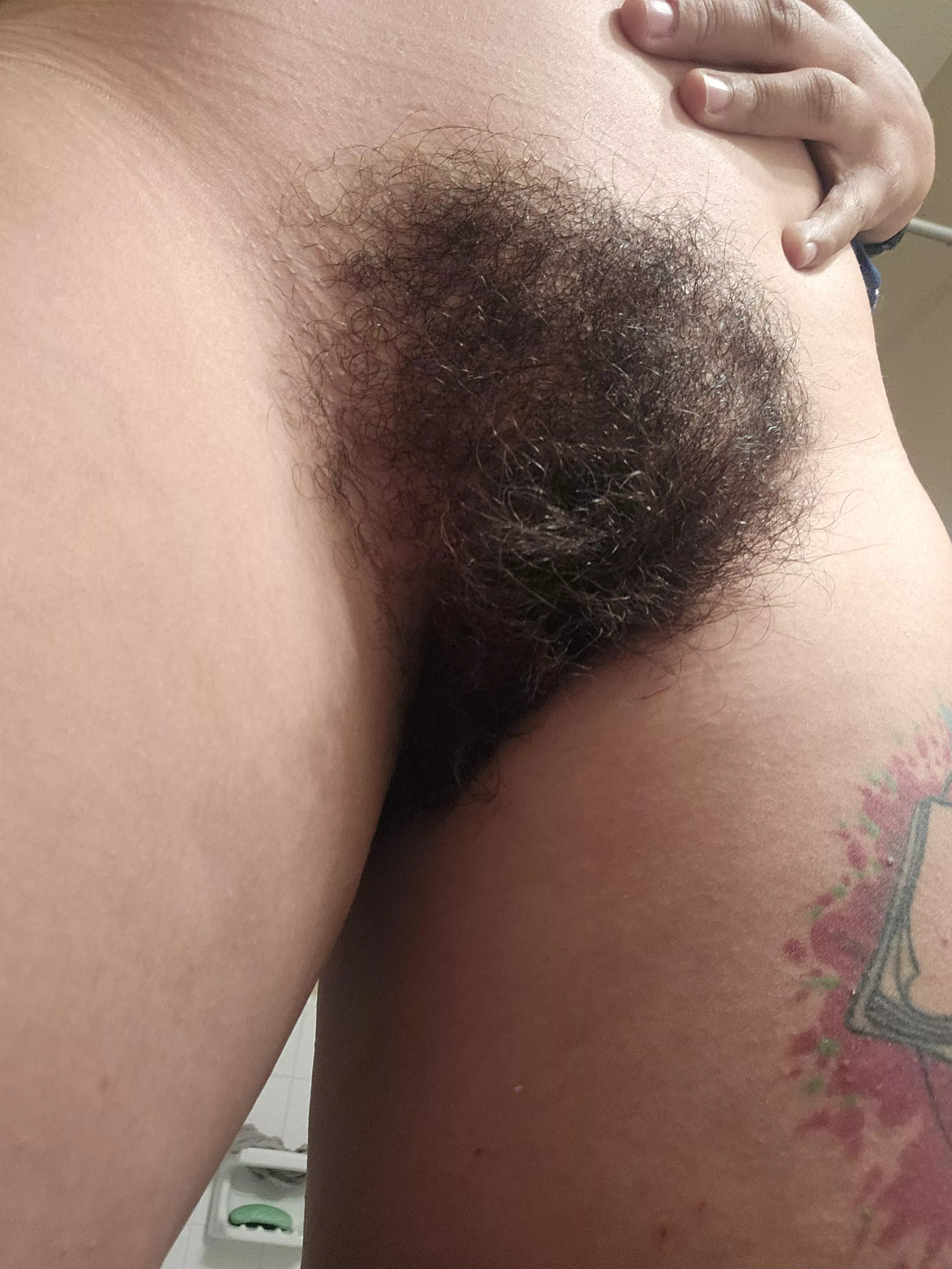 I love what i'm working with here!! posted by Hairy_nShameless