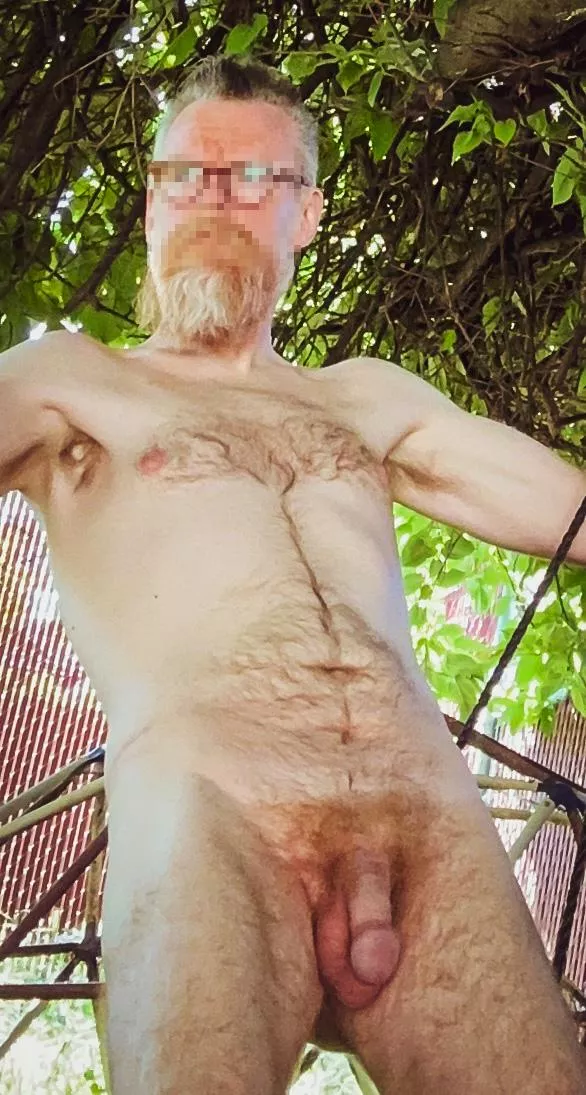 In the backyard [46] posted by dreadpiratebruce