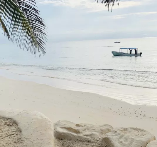 Mornings by the beach by UnfairSeesaw5643