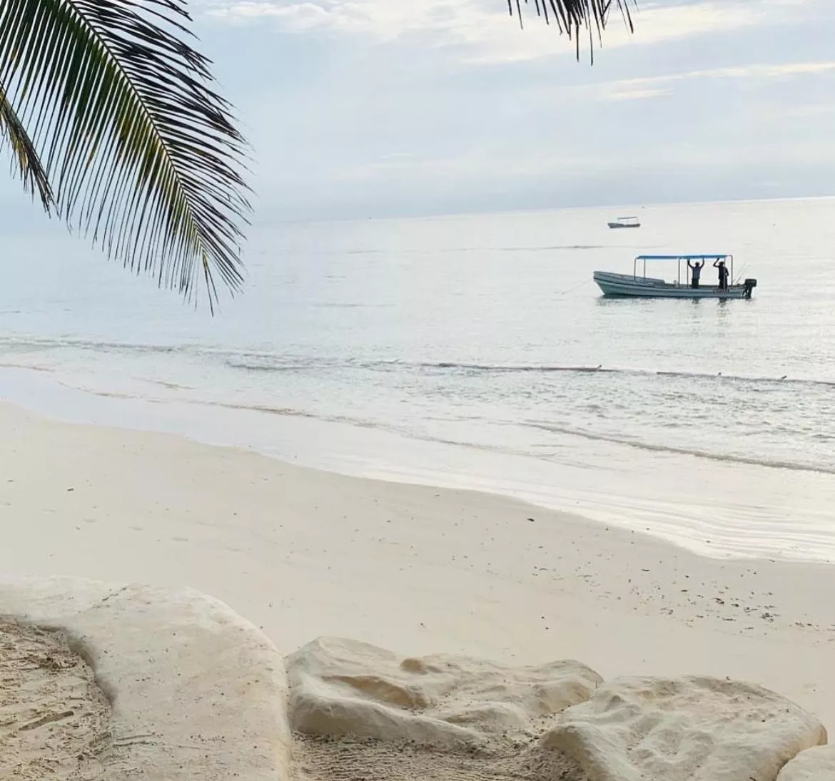 Mornings by the beach posted by UnfairSeesaw5643