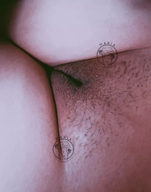 Should I shave or grow it out(f) by Icy-Communication553