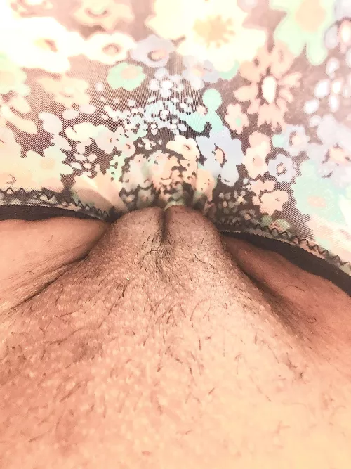 Take a peek by apple90pia