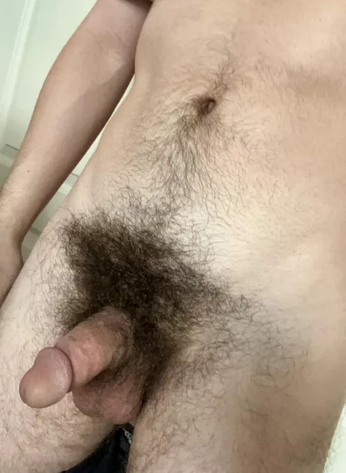Think my bush and soft cock go well together  by Ok_Suggestion_3510