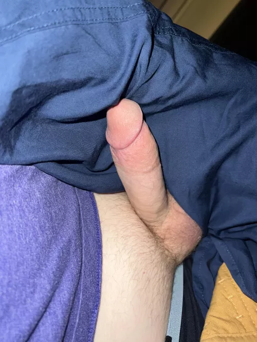 This is what is hiding under the covers every morning, would you sneak a peek? 👀 (31) by kickinitoldschool25