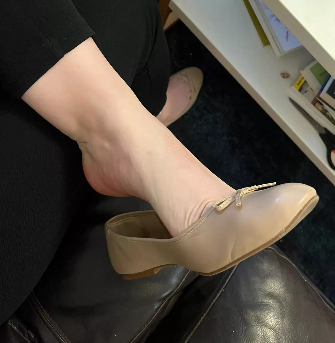 What would you do, if we were sitting next to each other?  posted by adulthumanshemale