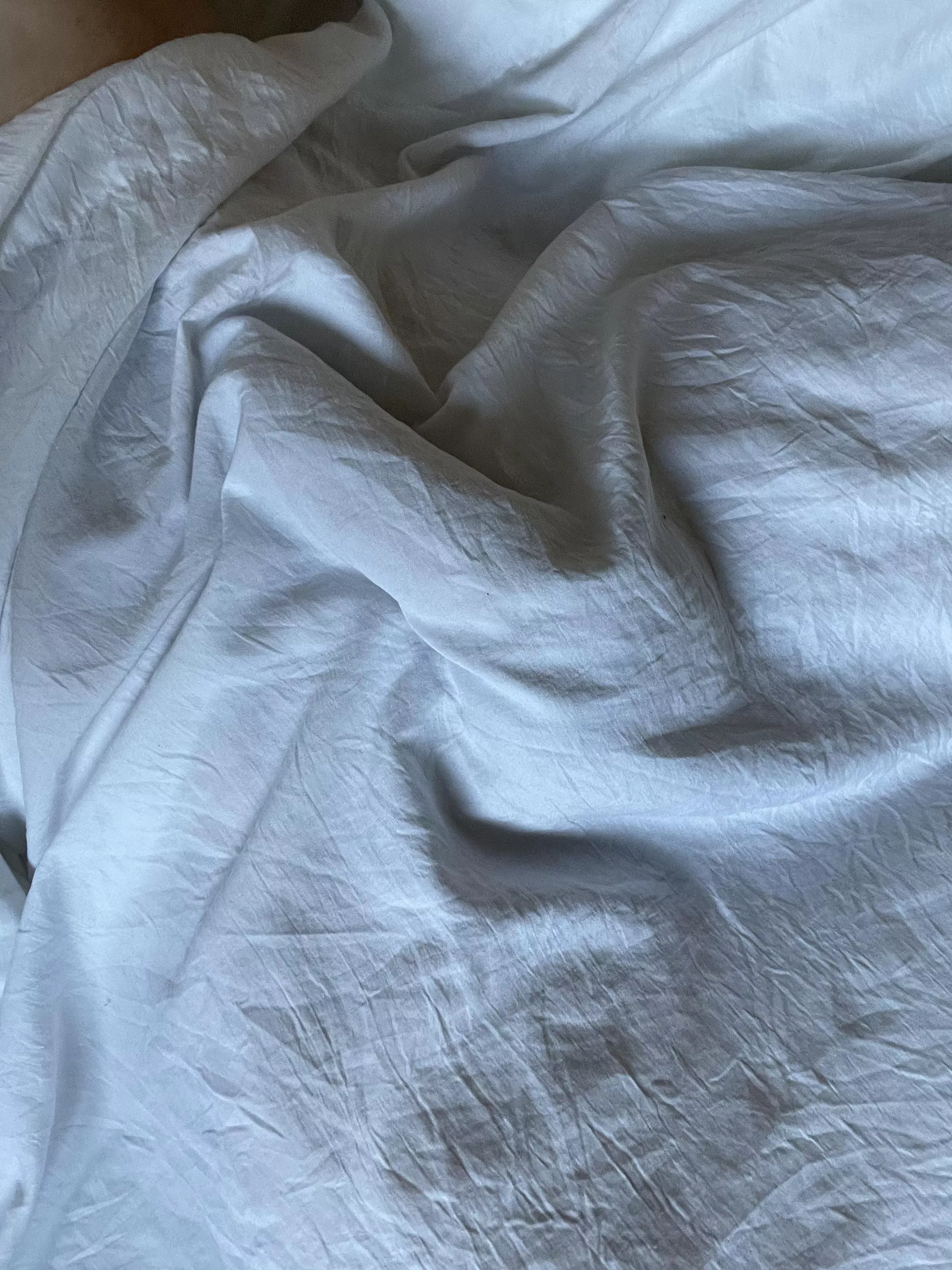 Woke up with an outline  posted by Modofthetits1