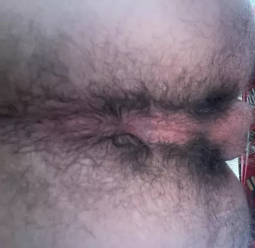 19 [m4m] do you want to play with this ass? by AmbitiousParfait7488