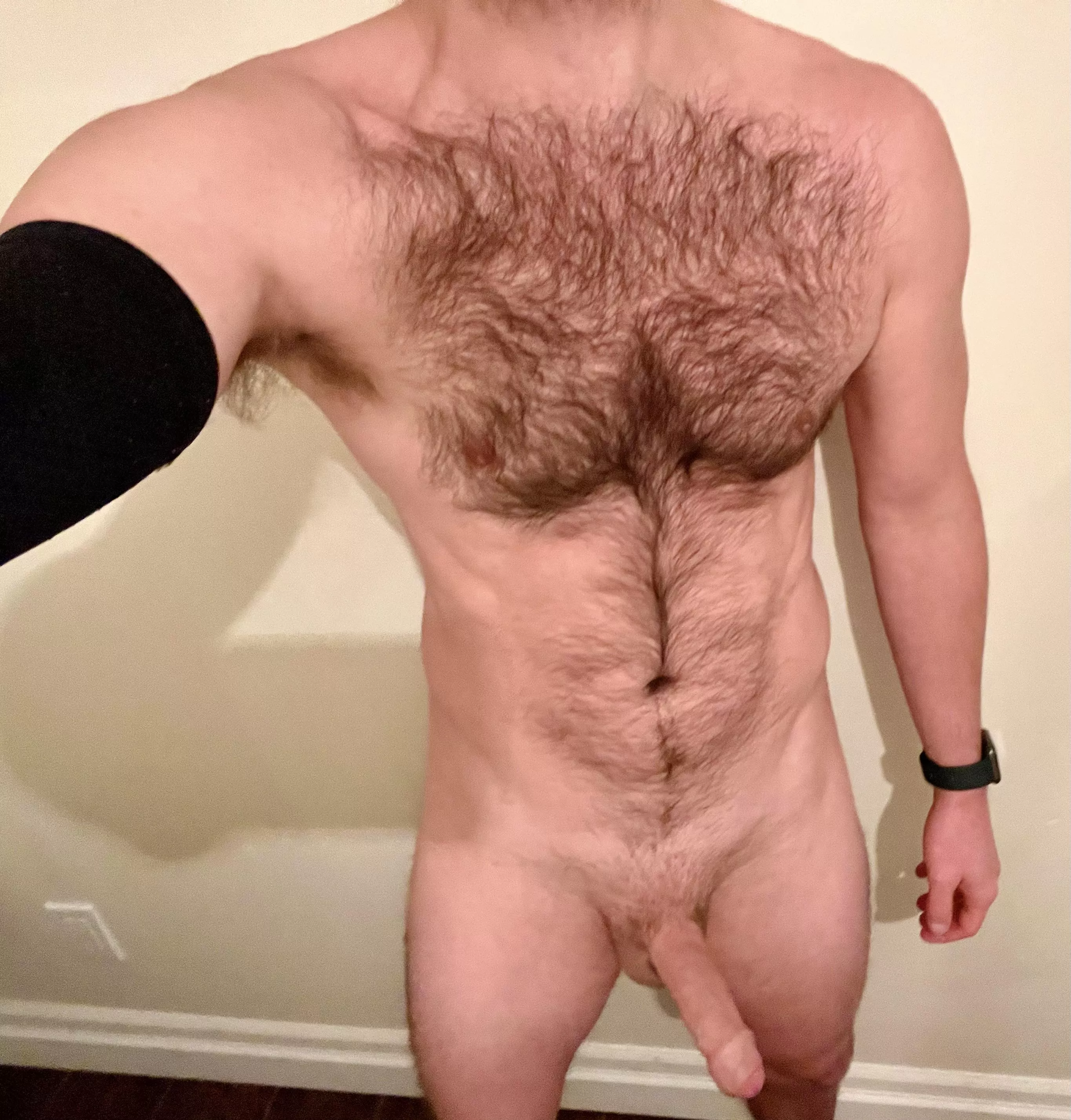 (35) A reminder what good chest hair looks like. Run your hands through it? posted by Dollar-Dick