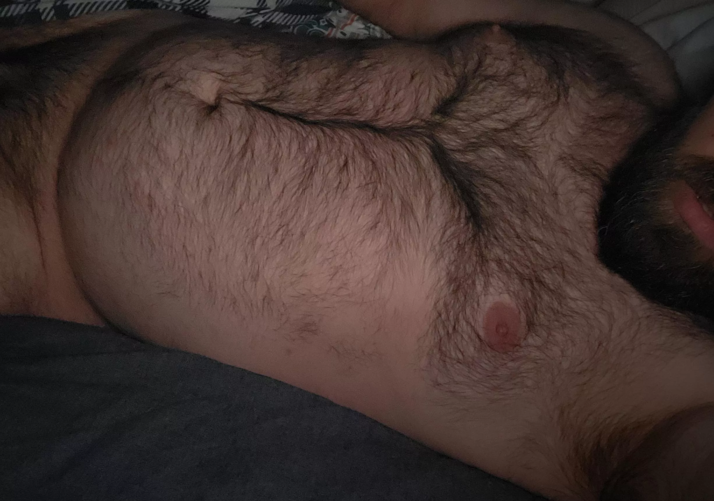 Am I a forest of fur?  posted by hairychubbyman