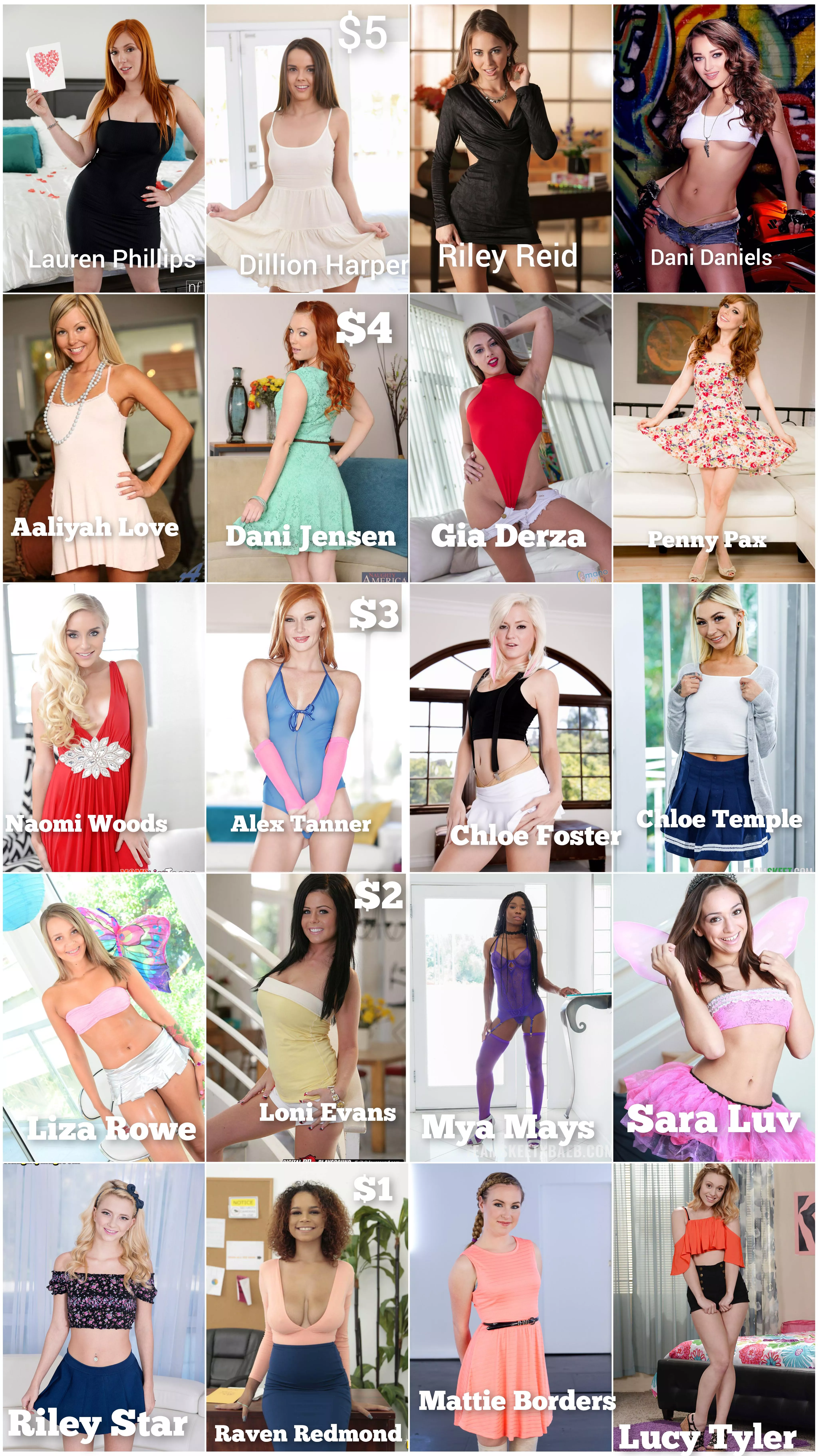 Build your $20 harem posted by Entertainment_only1