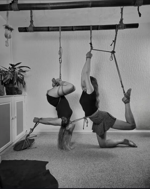 Dual partial.  by quite_deviant