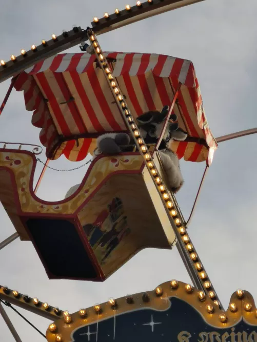 😨How did you get up there?!  by QueenOfJealousy