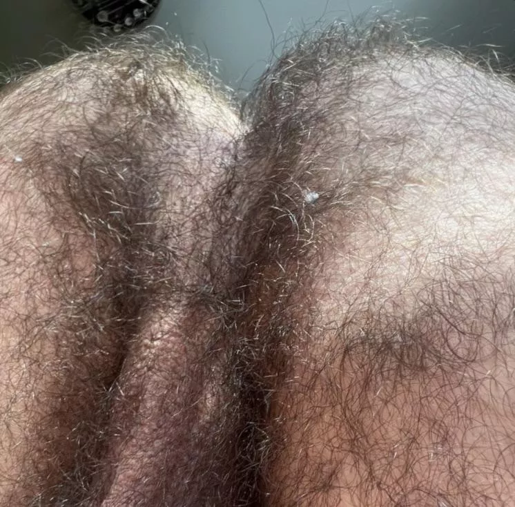How do you guys feel about hairy asses? by gym-dad