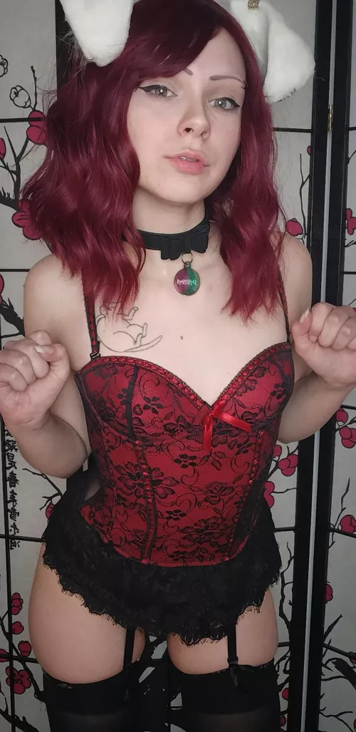 Looking to adopt? by panderdab