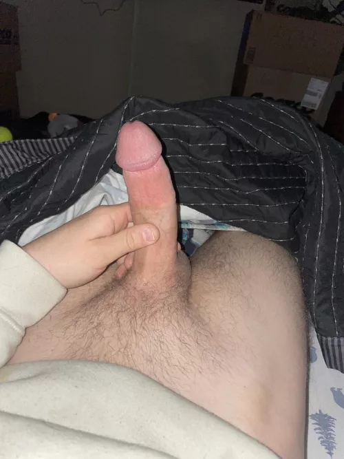 Morning wood ready to use by cock4use69