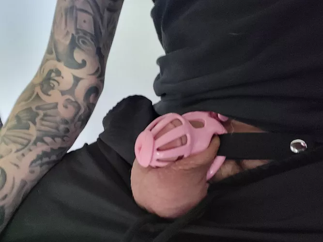 New little pink came in! Even came with a cute pussy sound!  by Antioch-