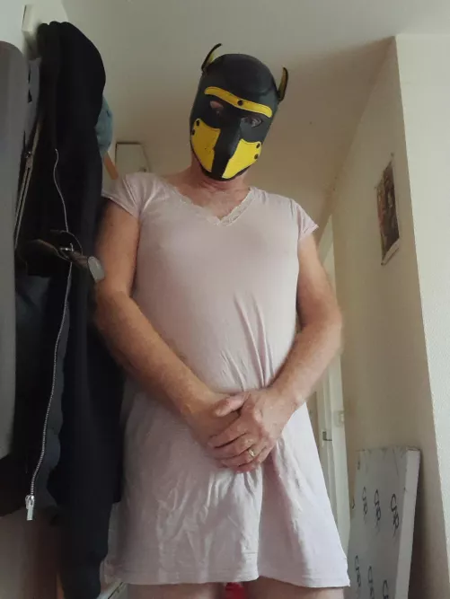 Say hi to the new pup!! by Happy-Set-25