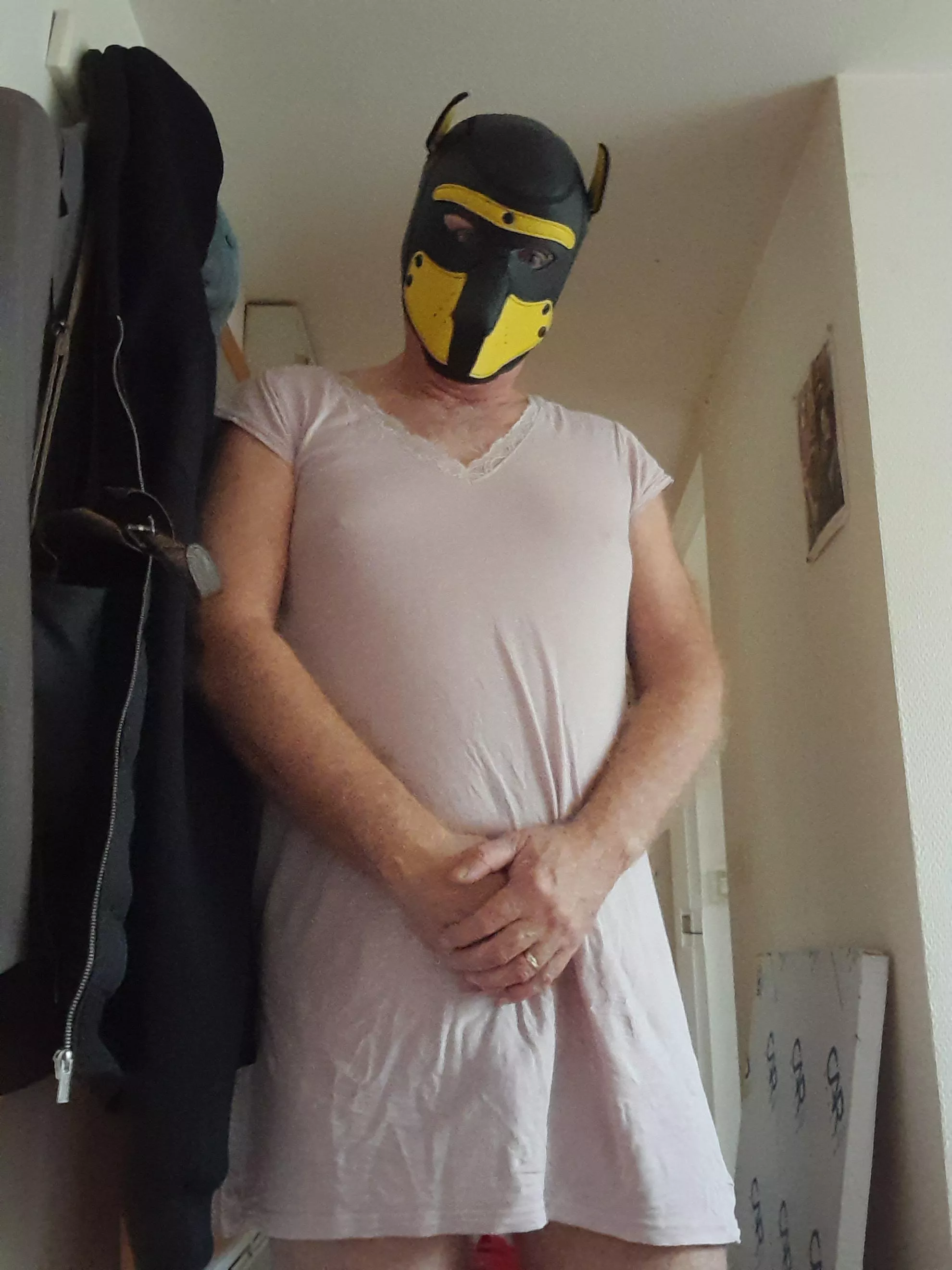 Say hi to the new pup!! posted by Happy-Set-25