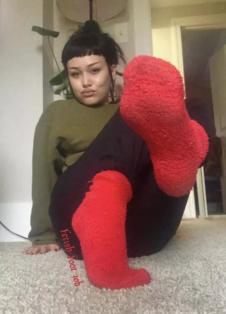 ✨selling✨ 24hr worn sweaty fuzzies  posted by Fetish-foot-job