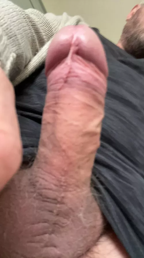 So hard today! Any ladies want to cam and get me off? [52] by Daddyknowsbest2023