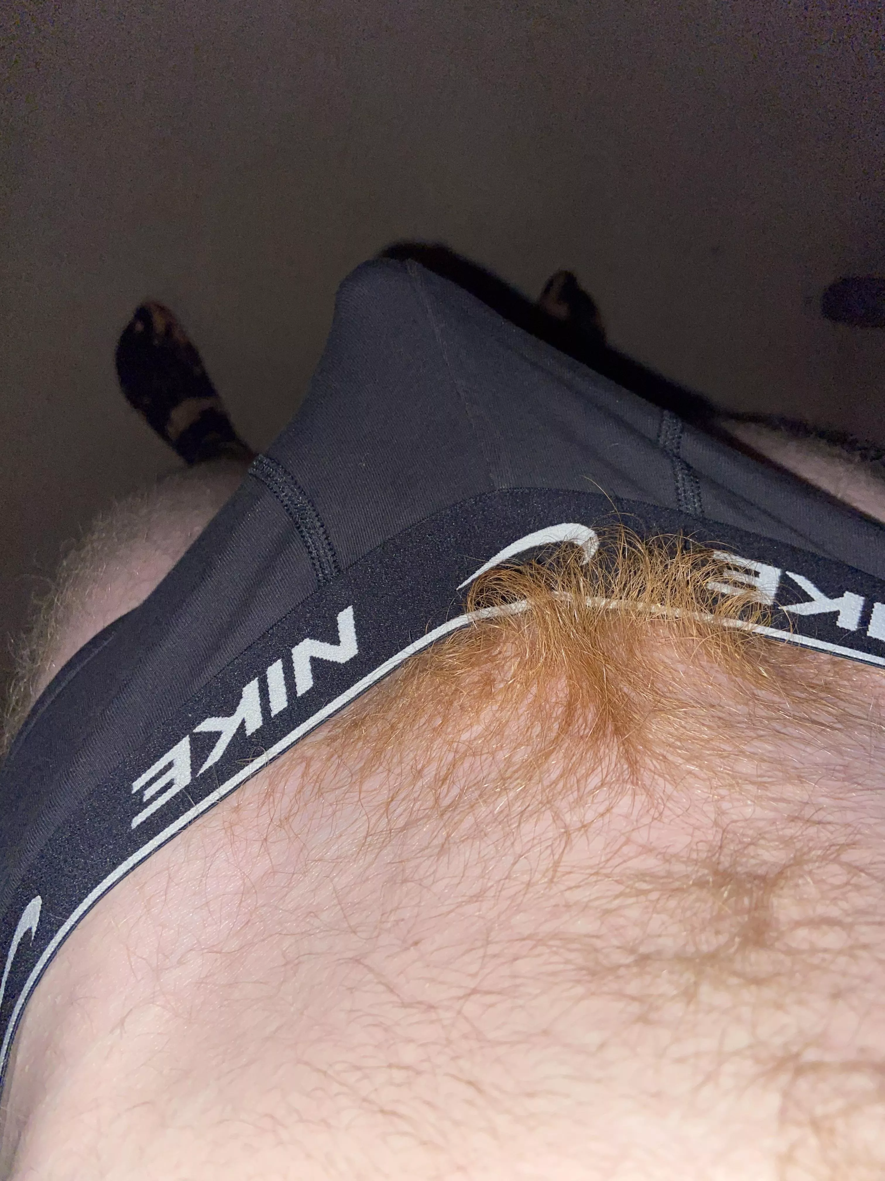 Someone’s woke up👀🍆 posted by hornyginger05