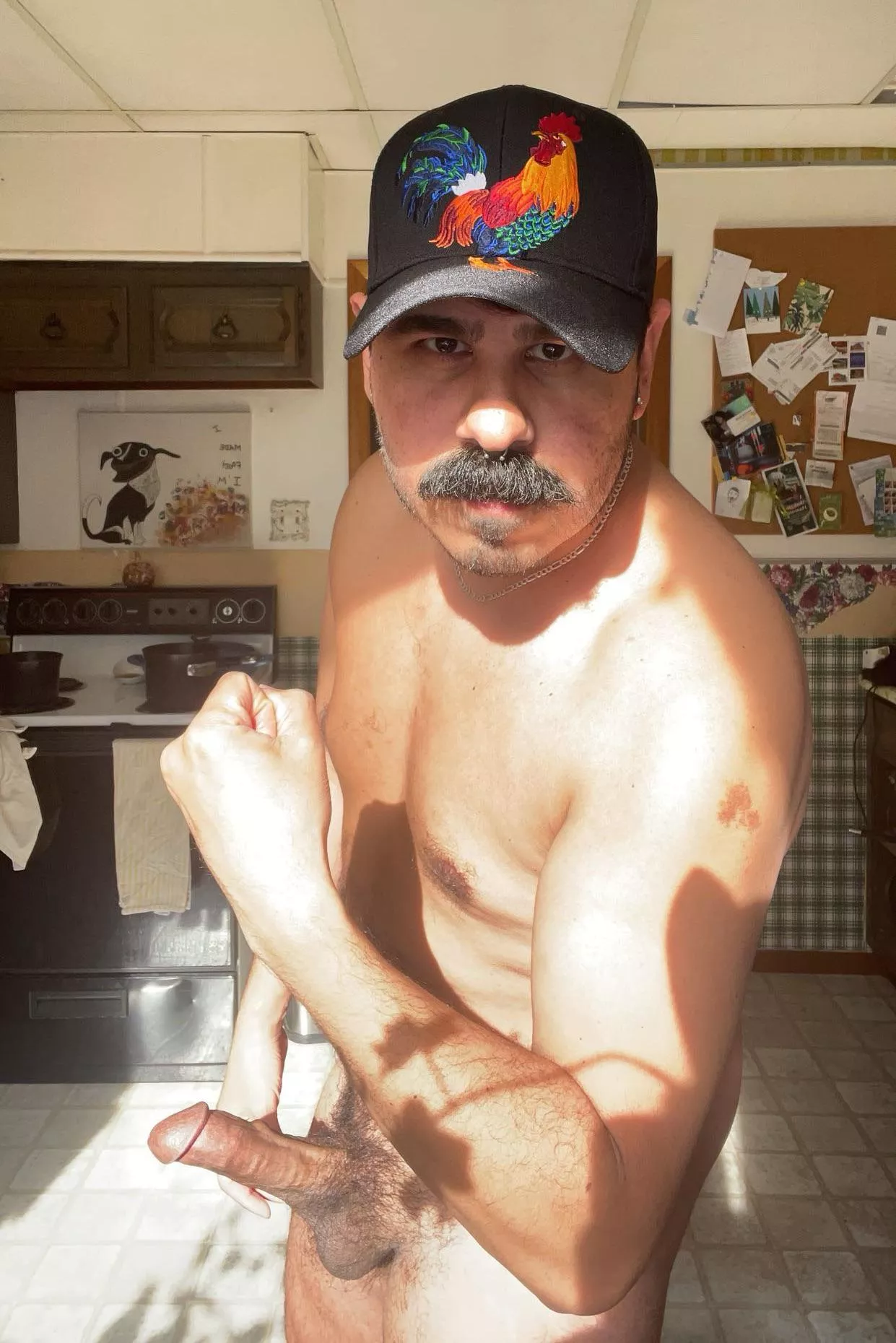 Top of the morning to ya 🐓 posted by lilbabyshark