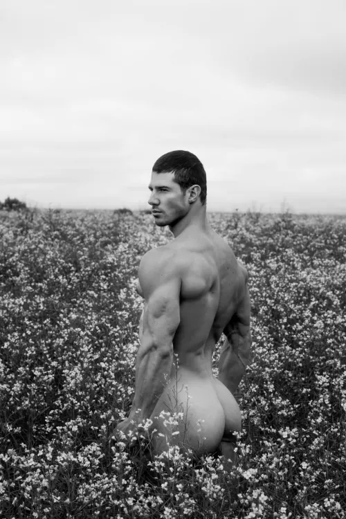 Would you like to be alone with me in an open field? by AveryanovDM