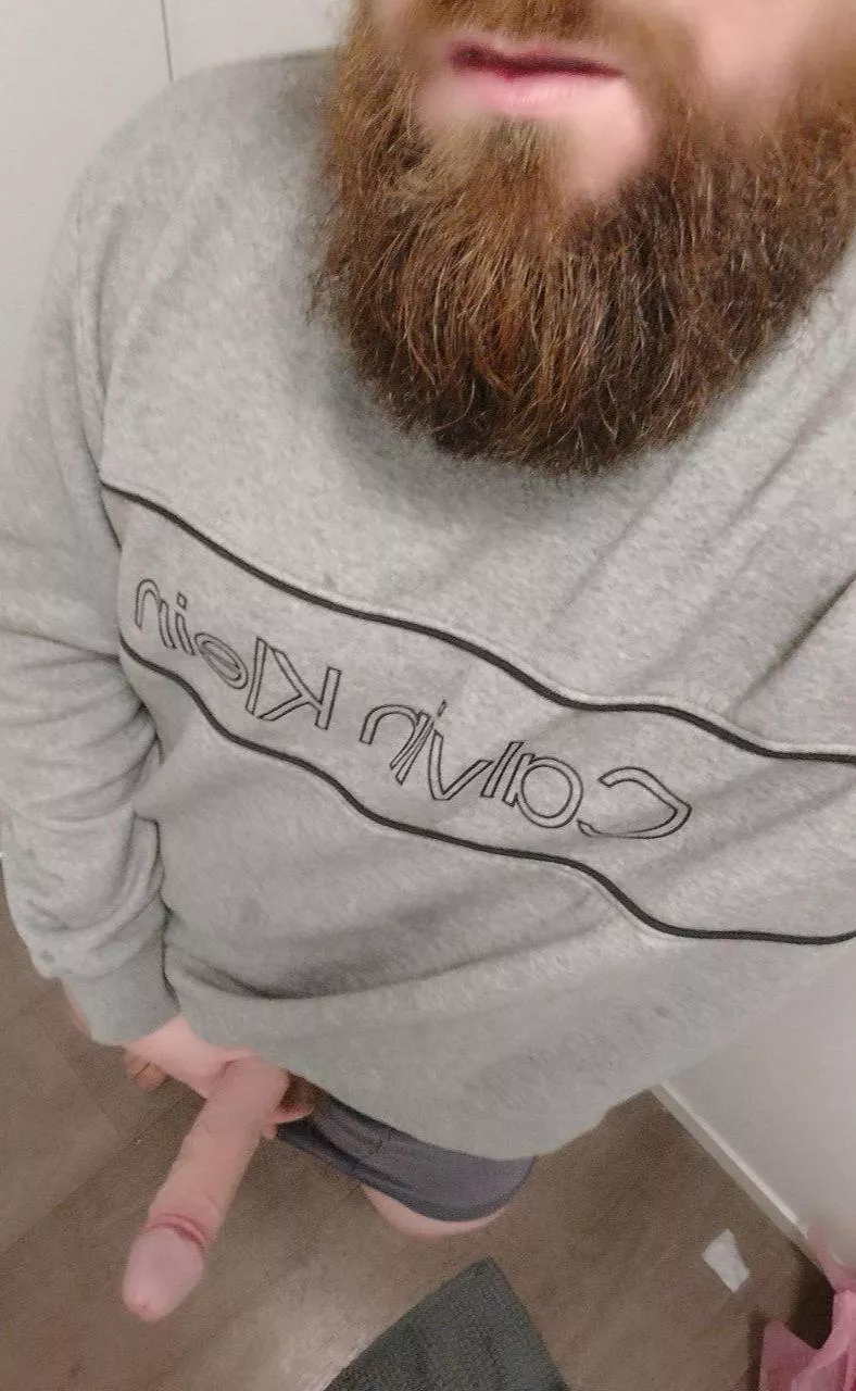 Would you sit on the beard or the boner? posted by shizandgig