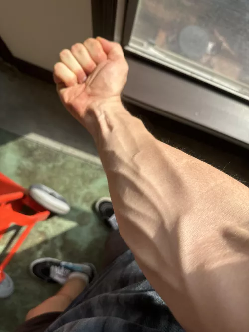 catching some natural light  by TotallyCameron