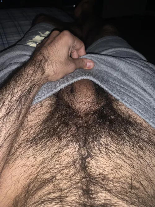 It’s hairy down there!  by Prestigious_Sky_5043