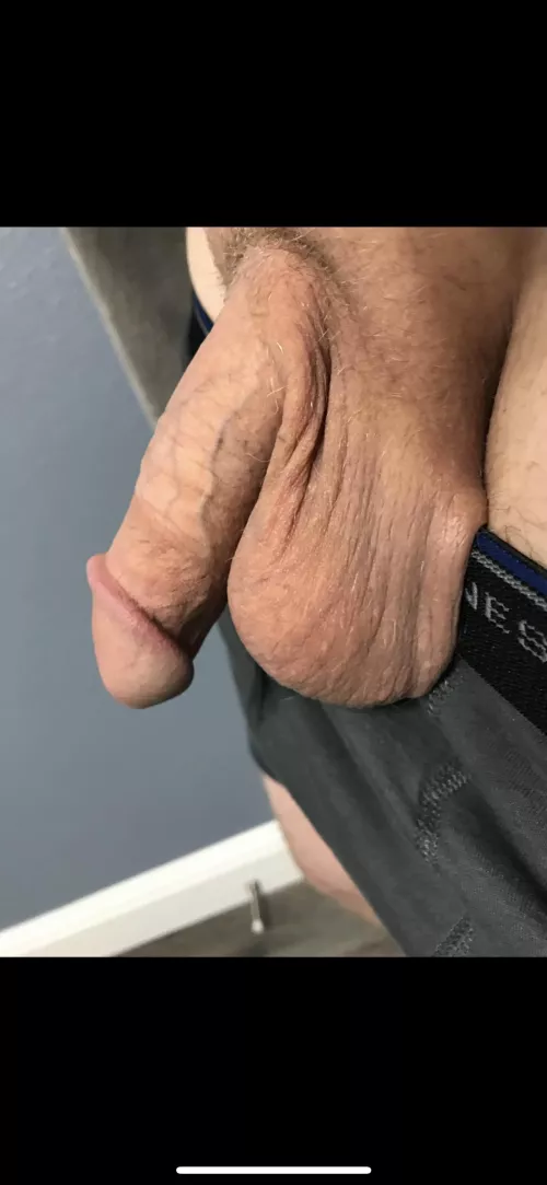 Just hanging out by Playful-Meat6651