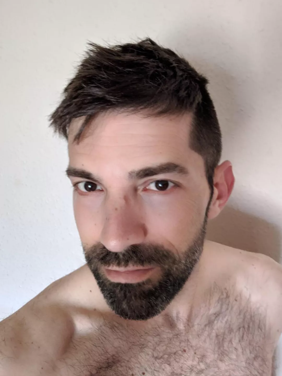 Messy bed hair posted by angrywolf74