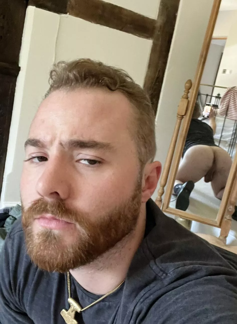 Need a face to sit on.  posted by sturdysnak