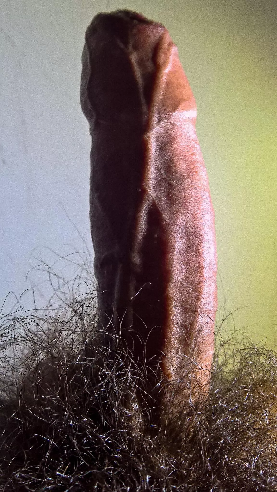 Never trimmed in my life! And proud of it  posted by hairy_exhib