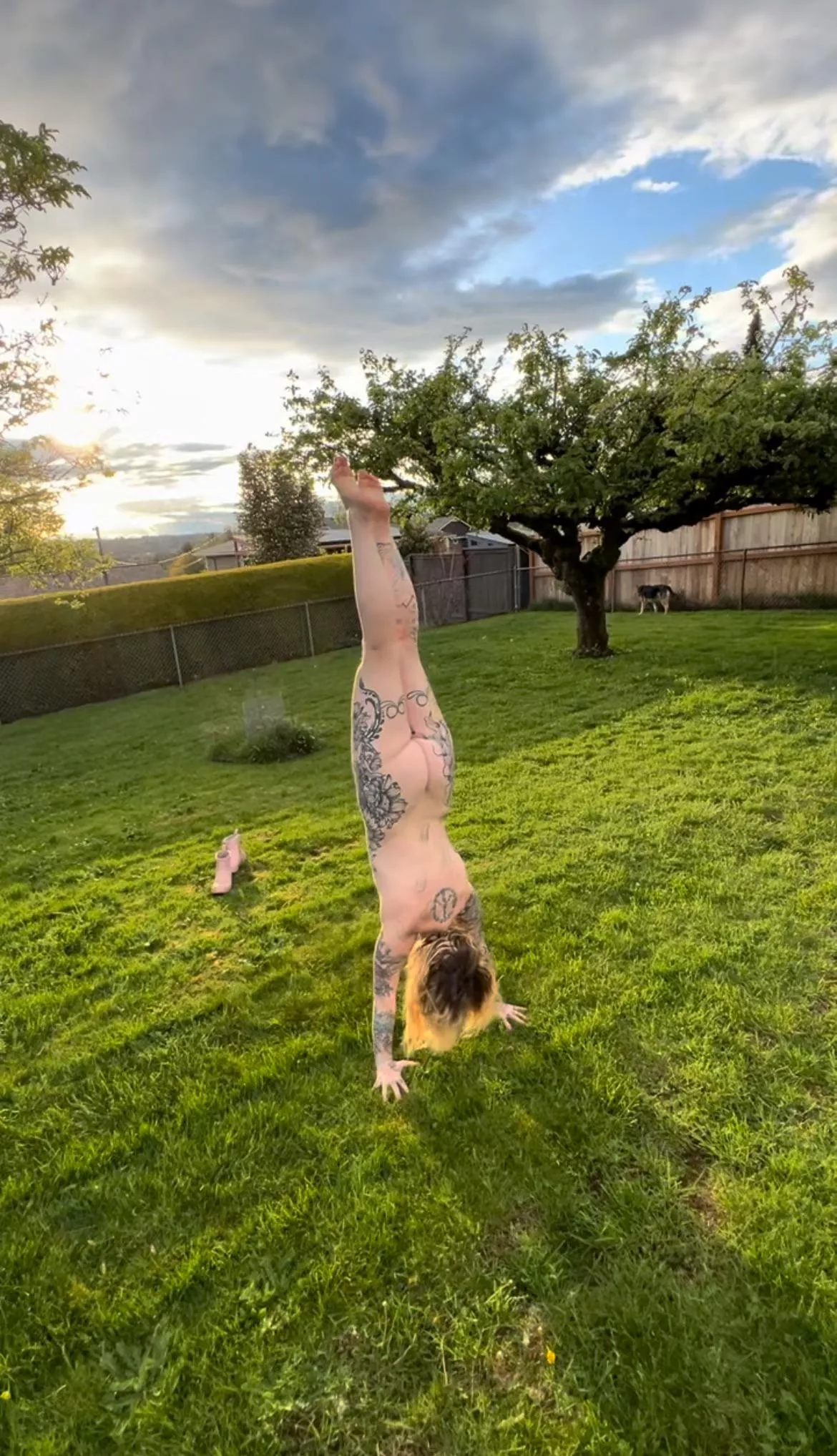 The neighbors get a show at sunset  posted by BettyJean666