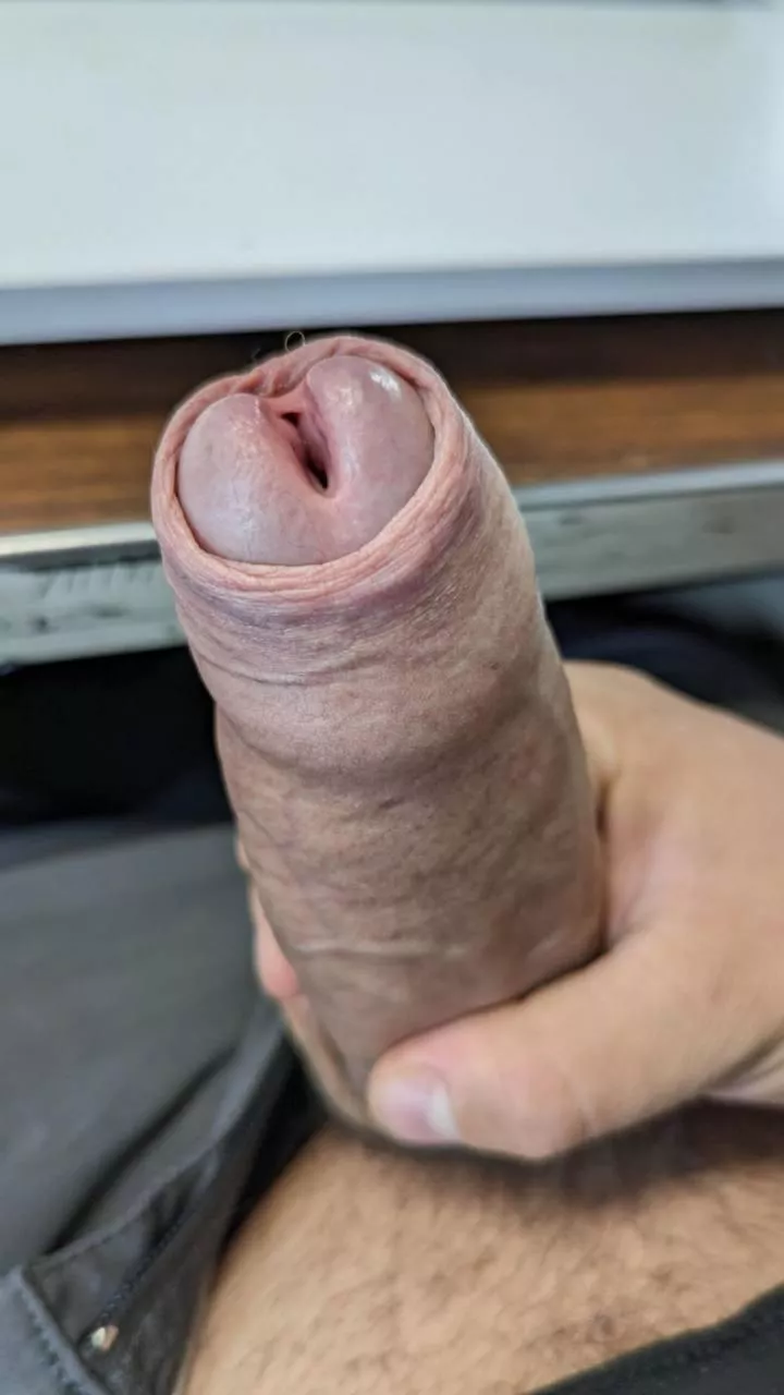 What do you make of it? posted by One_Literature5846