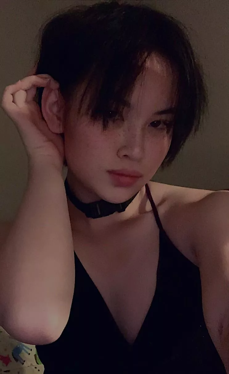 Why hello there posted by Euphoronic