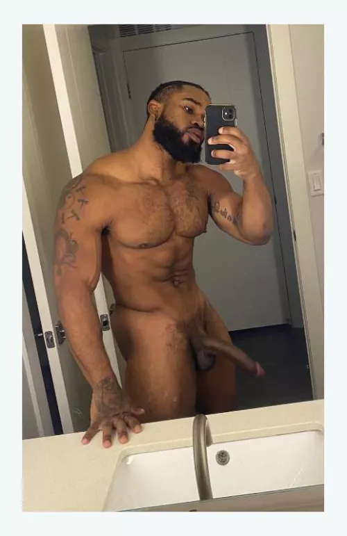 Yhe standard by Obvious-Prune9704