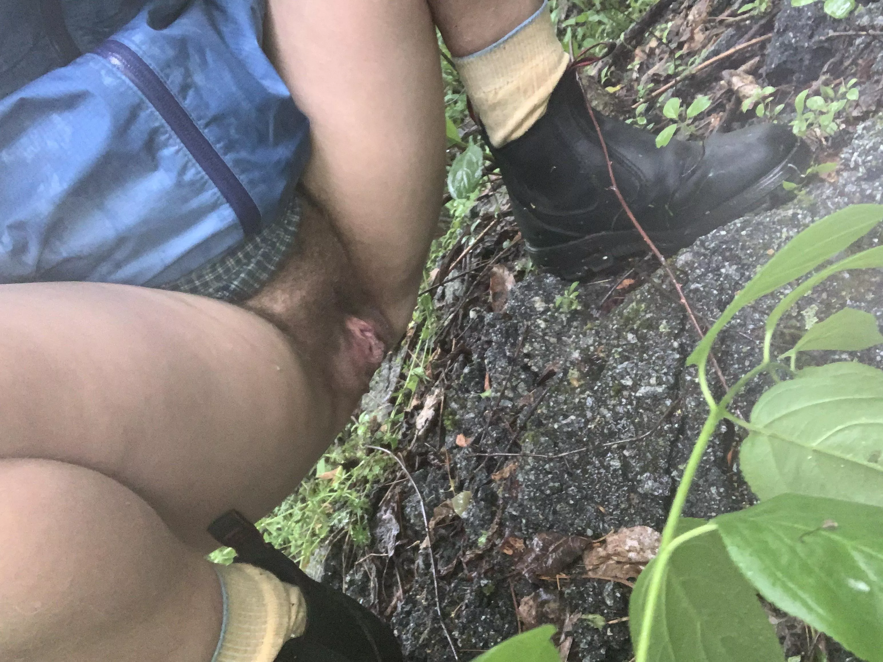 Enjoying my morning walk posted by wetwildflower77