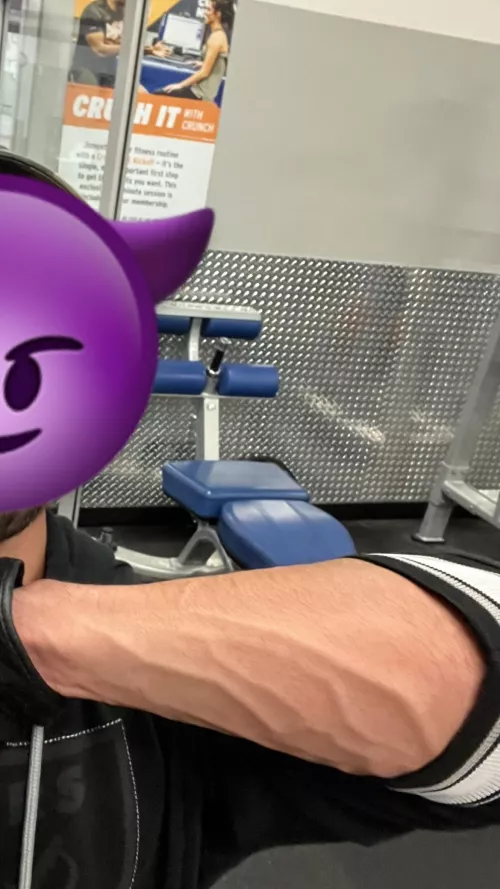 Forearms are super duper pumped and strong 😈😈 They’d easily lift you high in the air! by TheeGuyDerek