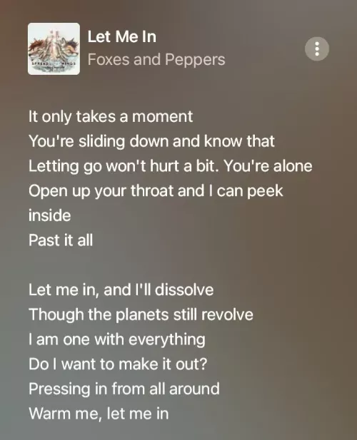 {image} I've never heard anyone talk about this song. (Let Me In by Foxes and Peppers) by Visible_Chocolate_YT