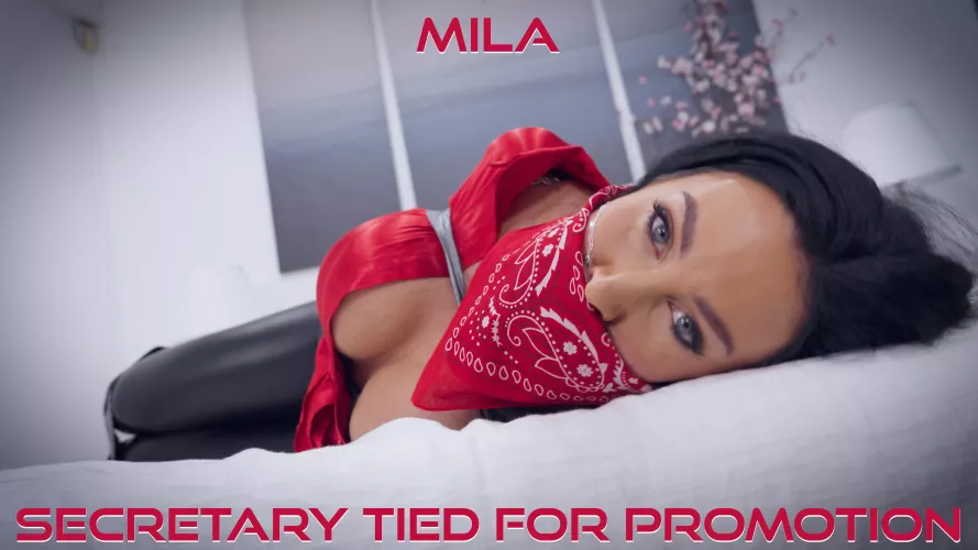 Mila - Secretary Tied For Promotion  by Gag__Attack
