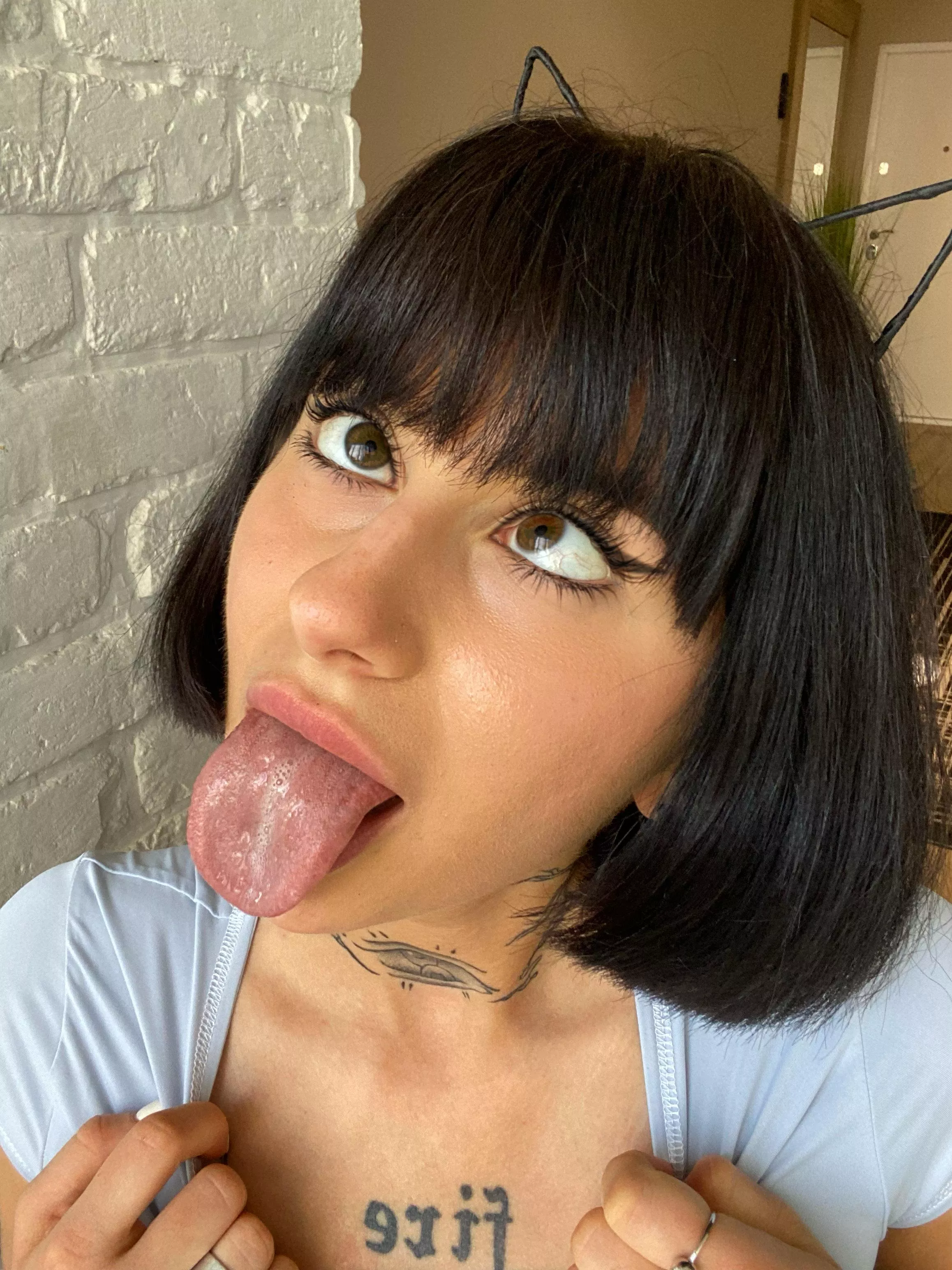 This kitty is incredibly hungry posted by Slimedorion26