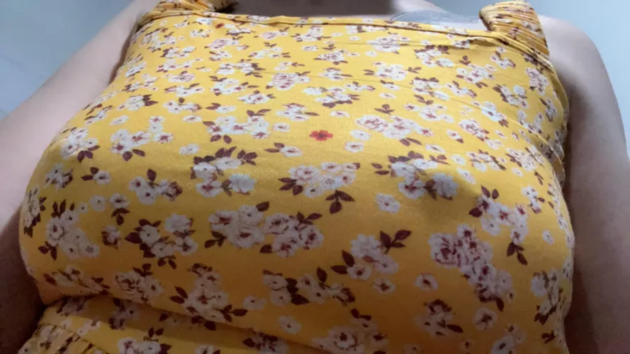 Trying to brighten up the cloudy day.  by rawrplatypus